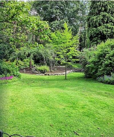 Care home garden
